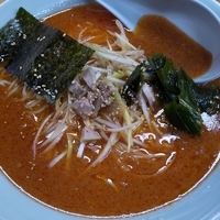 「ネギラーメン 600円+ピリカラ 100円」@ニューラーメンショップ 西川口店の写真