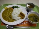 「中央カレー M + 味噌汁 / 360円+20円」@東京大学 中央食堂の写真