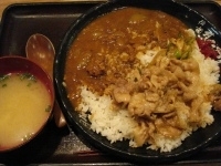 「すたみなカレー」@伝説のすた丼屋 品川店の写真