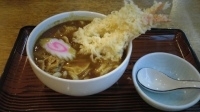 「海老天カレーうどん」@上州うどん つつじの里店の写真