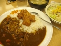 「から揚げカレー」@松屋 芝大門店の写真