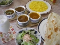 「ジャイプールランチ1050円×?」@ジャイプールの写真