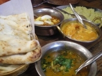 「土日ランチ2100円」@GURGAONの写真