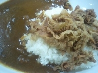 「あいがけカレー（並）490円」@なか卯 都賀駅前店の写真