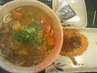 「カレーうどん（中）+コロッケ+明太子おにぎり（504円+116円」@はなまるうどん 牧の原モア店の写真
