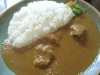 「印度風チキンカレー」@百番目のサルの写真
