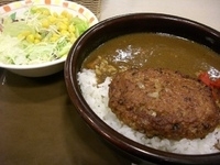 「ハンバーグカレー」@すき屋 石和店の写真
