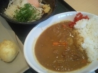 「カレーセット（冷やし温玉ぶっかけうどん）+半熟たまご天（499円」@はなまるうどん 千葉山王店の写真