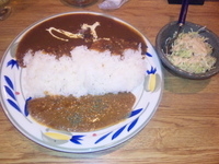 「ドライカレー&ポークカレー 800円」@CURRY BAR SERIAの写真