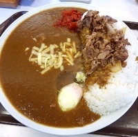 「カレーキング（温玉+牛皿並+チーズトッピング）」@すき家 南水元店の写真