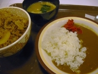 「牛丼ミニカレーセット530円」@すき家 新小岩店の写真