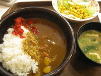 「カレーライス並380円サラダセット100円」@すき家 新小岩店の写真