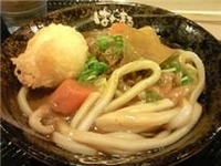 「カレーうどん（小） 399円、半熟卵天 105円」@はなまるうどん 京急川崎駅前店の写真