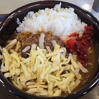 「チーズハンバーグカレー（並）（630円）」@すき家 6号日立城南店の写真