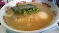 「煮玉子ラーメン+替玉」@博多ラーメン もえぎ野の写真
