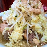 「小ブタ（ニンニクアブラ） 750円」@ラーメン二郎 神田神保町店の写真
