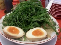 「みそ九条ネギ味玉ラーメン（麺硬め、背脂多め）980円【1日20食」@ラーメン魁力屋 南行徳店の写真