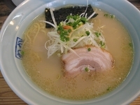 「日替わりらぁ～めん、塩ラーメン海老風味500円」@こく味ラーメン かしわ屋の写真