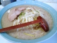 「定番中（￥900）」@ニューラーメンショップ ドモンの写真