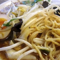 「野菜たっぷりタンメン（大盛同料金） 700円」@らあめん わかばの写真