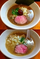 「超濃厚豚骨ら〜めん」@まるとら 本店の写真