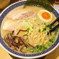 「（2/25限定）長浜らーめん（バリカタ）+替玉（ハリガネ） 70」@つけ麺 道の写真