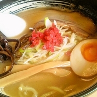 「とんこつこってり濃厚（塩）中太麺」@濃厚ラーメン じゅんの写真