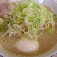 「ラーメン （味付玉子トッピング）」@背脂ラーメン きくちゃんの写真