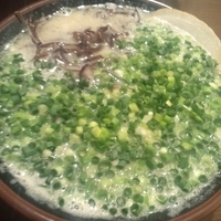 「博多ラーメン（ハリガネ）600円+ネギ大盛り100円+替え玉（ハ」@博多らーめん 万々の写真