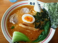 「からしみそラーメン 650円」@ラーメンねぎっこ 北福島店の写真