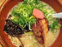 「白桜（はりがね）（682円）+九条ネギ（105円）」@麺道 花の杜の写真