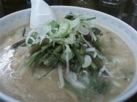 「山菜ラーメン（みそ味）800円」@わかいの写真