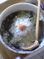 「しらすラーメン梅肉入り」@江ノ島 展望台売店の写真