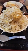 「ラーメン（野菜W）」@ジャンクガレッジ イオンレイクタウンmori店の写真