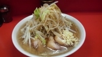 「小豚 麺少なめ野菜ニンニクカラメ」@ラーメン二郎 神田神保町店の写真