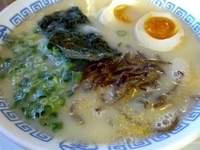 「博多まるきんラーメン 半熟玉子」@博多まるきんラーメン 横浜港北店の写真