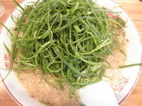 「九条ねぎラーメン 「900円」」@京都ラーメン やおい亭 R57浦和大久保店の写真