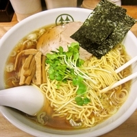 「中華そば（大盛※同料金） 650円」@中華蕎麦 はやしの写真