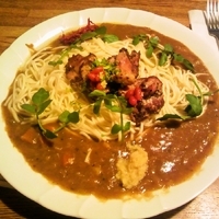 「鶏肉麺カレー」@薬膳カレー じねんじょ 谷中本店の写真