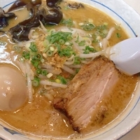 「味噌らぁ麺 + 味玉」@らぁ麺 波（シー） 神田錦町店の写真