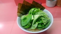 「ラーメン+サラダ菜」@千家 根岸店の写真