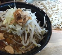 「つけ麺（中盛）」@どてちんの写真