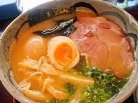 「鶏骨ラーメン（全粒粉麺）（700円）+味玉（100円）+本日のサ」@麺's たぐちの写真