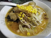 「味噌ネギラーメン」@麺匠 矢向の写真