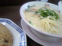 「ラーメン焼飯セット （塩とんこつラーメン） 800円」@天龍 新大阪店の写真
