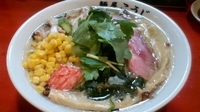 「地鶏とホタテの塩ラーメン」@麺屋 こうじの写真