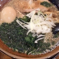 「燕三条系アオサ醤油ラーメン + 味玉」@新潟進化系ラーメン 俺たち越後や 門前仲町店の写真