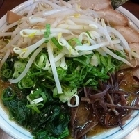 「眞司味噌らーめん （もやしトッピング）」@つけめん 眞司の写真