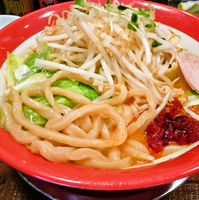 「から味噌ラーメン￥780 + ヤサイモリモリ￥100 + サービ」@手打ち極太麺 ジョニーの味噌の写真