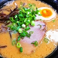「豚骨ラーメン（ハリガネ）+替玉（バリカタ）」@豚骨ラーメン 新井商店の写真
